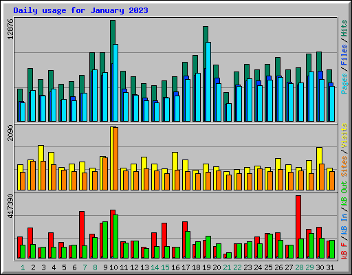 Daily usage for January 2023