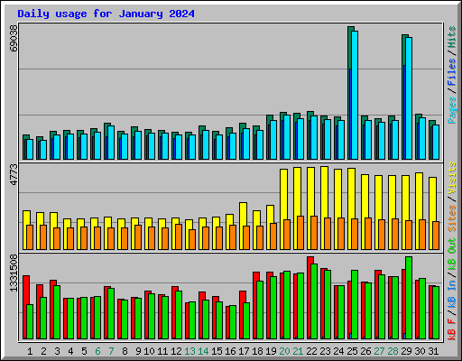 Daily usage for January 2024