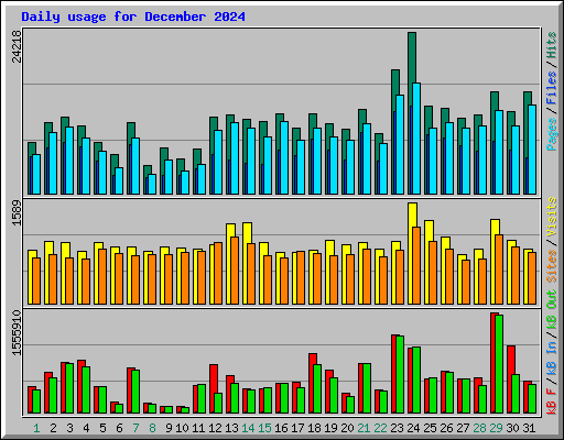 Daily usage for December 2024