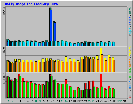 Daily usage for February 2025
