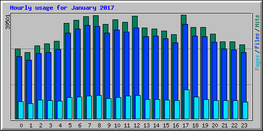 Hourly usage for January 2017