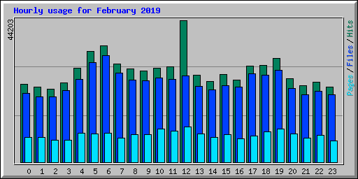 Hourly usage for February 2019