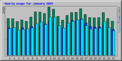 Hourly usage for January 2022