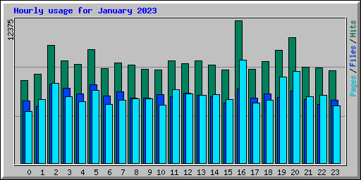 Hourly usage for January 2023