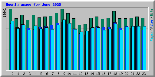 Hourly usage for June 2023