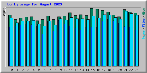 Hourly usage for August 2023
