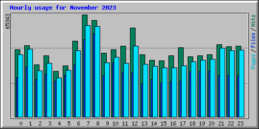Hourly usage for November 2023