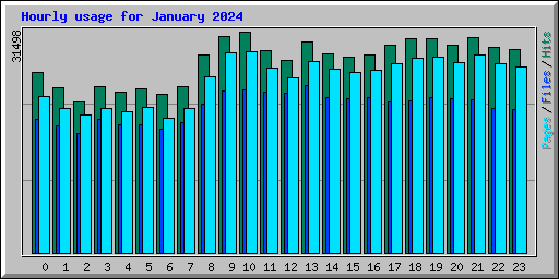 Hourly usage for January 2024