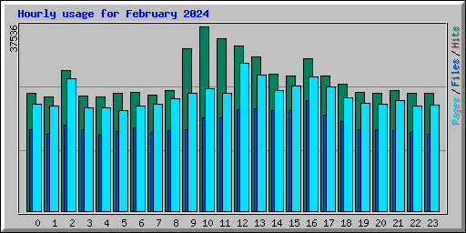 Hourly usage for February 2024
