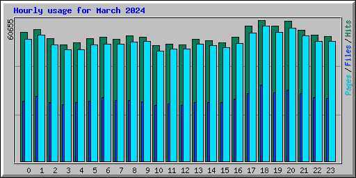 Hourly usage for March 2024
