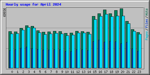 Hourly usage for April 2024