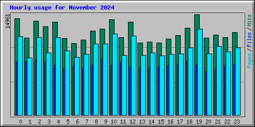 Hourly usage for November 2024
