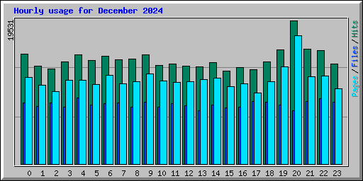 Hourly usage for December 2024