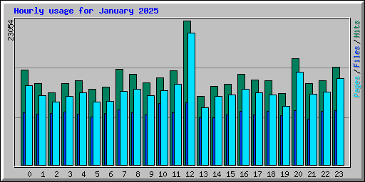 Hourly usage for January 2025