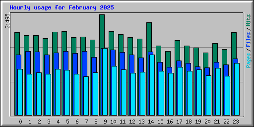 Hourly usage for February 2025