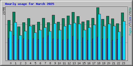 Hourly usage for March 2025