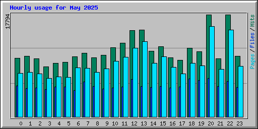 Hourly usage for May 2025