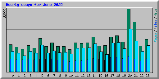 Hourly usage for June 2025