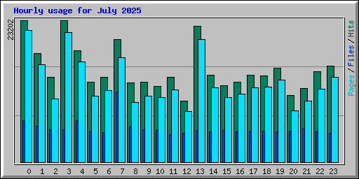 Hourly usage for July 2025