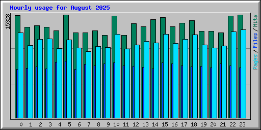 Hourly usage for August 2025