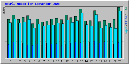 Hourly usage for September 2025