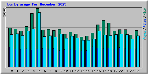 Hourly usage for December 2025