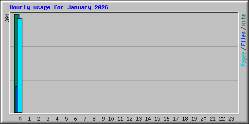 Hourly usage for January 2026