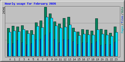 Hourly usage for February 2026