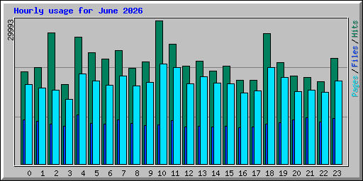 Hourly usage for June 2026