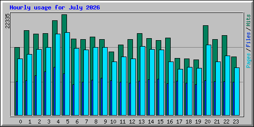 Hourly usage for July 2026